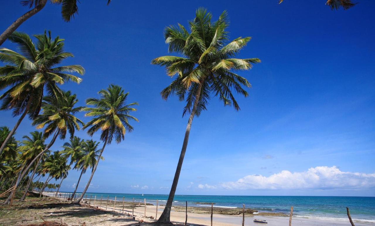 Tamandaré Flat Super Luxo Carneiros Beach Resort מראה חיצוני תמונה